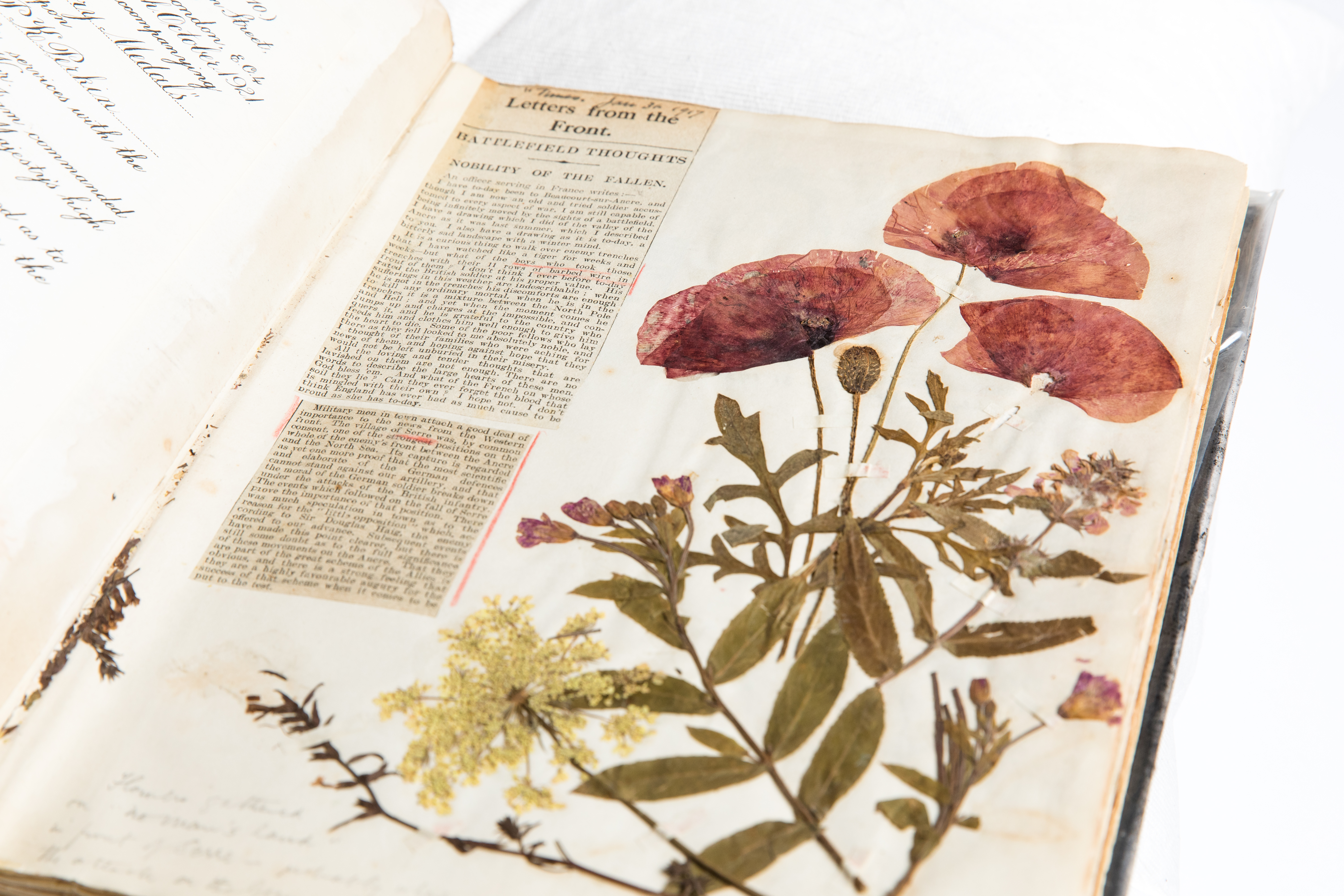 Photo of old botany textbook in the archives